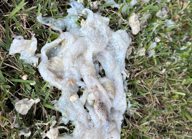 Забилась дренажная трубка кондиционера