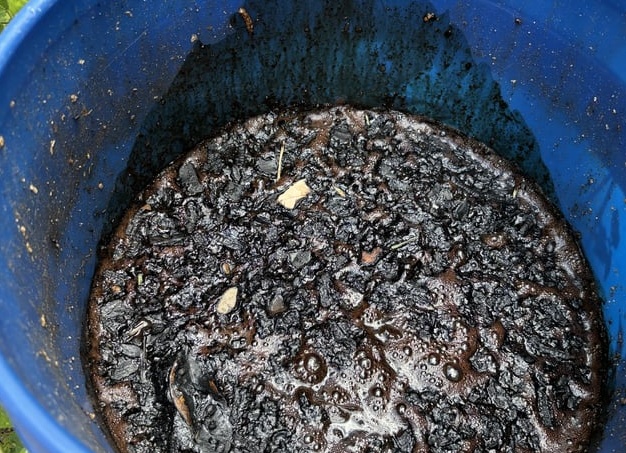 Как сделать и использовать компостный чай